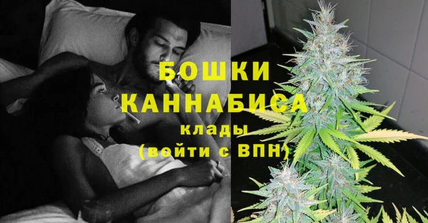 2c-b Белокуриха