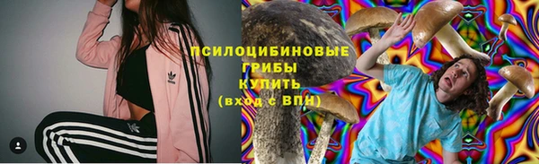 2c-b Белокуриха