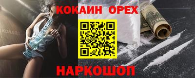 спайс Кингисепп