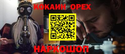 спайс Кингисепп