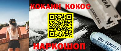 спайс Кингисепп