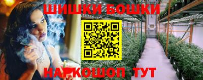 спайс Кингисепп