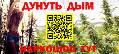 спайс Кингисепп