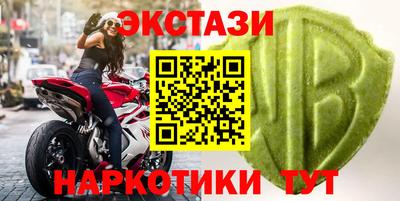 спайс Кингисепп