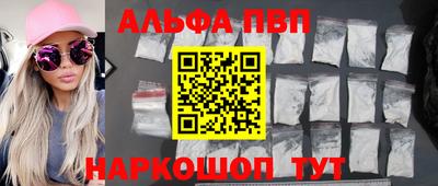спайс Кингисепп