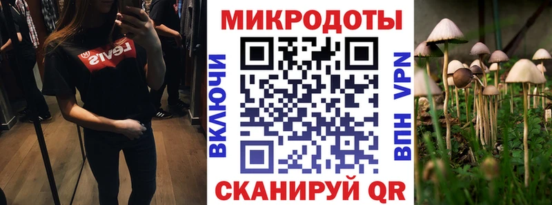 МЕГА ТОР  Городец  Псилоцибиновые грибы Cubensis 