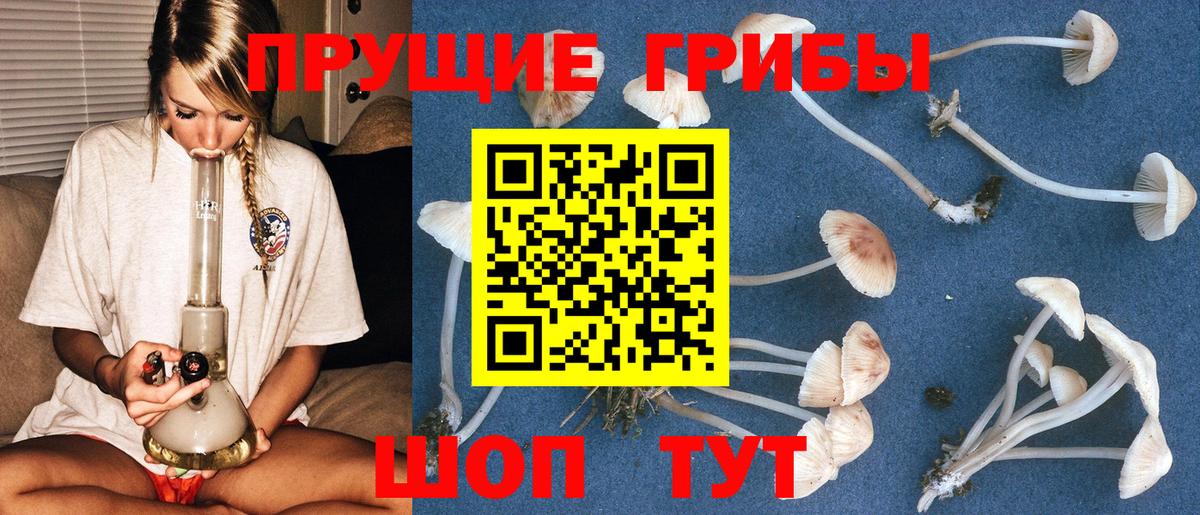 Псилоцибиновые грибы GOLDEN TEACHER Городец