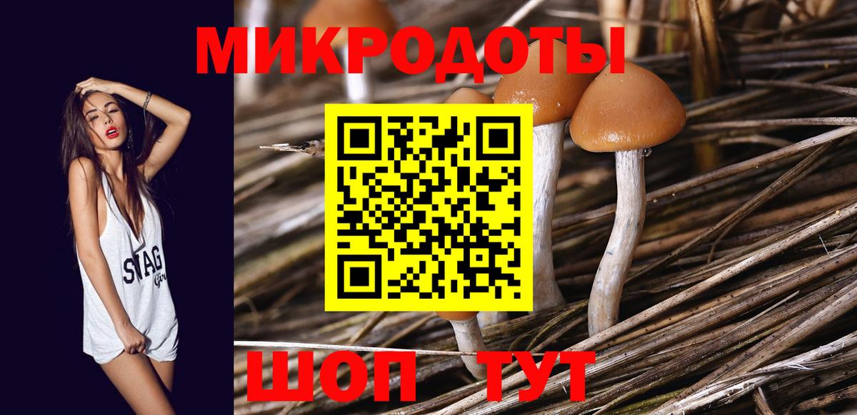 Городец  Галлюциногенные грибы GOLDEN TEACHER  Псилоцибиновые грибы Magic Shrooms  Вход с VPN 