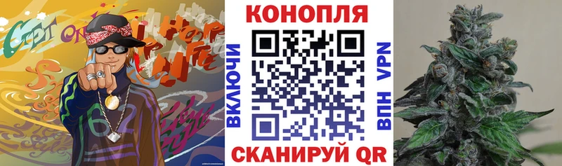 Каннабис конопля Городец